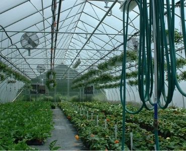 Industrial Greenhouse Watering System