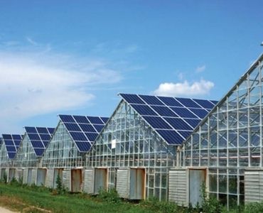 Industrial Greenhouse with Solar Panels