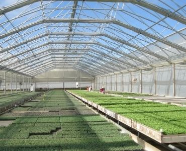Industrial Greenhouse