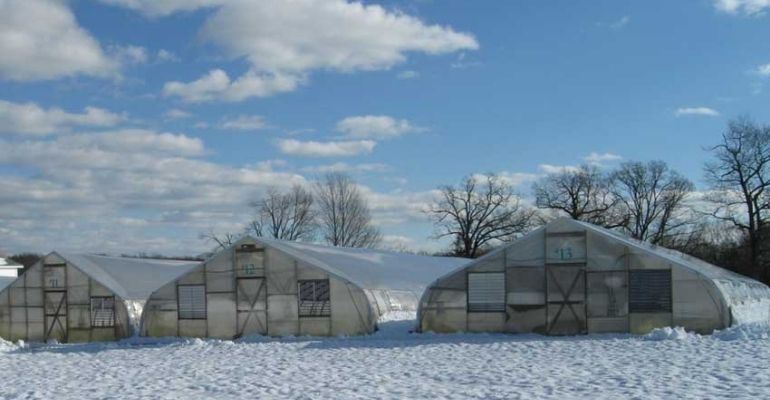 Industrial greenhouse in winter