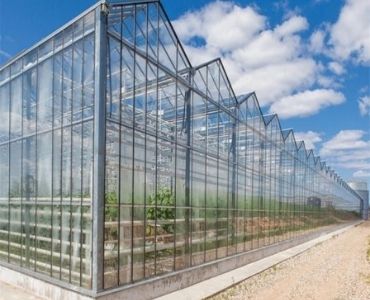 Industrial polycarbonate panel greenhouse