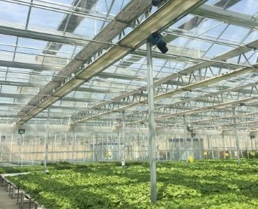 Large farm greenhouse