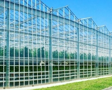 Large greenhouse 5