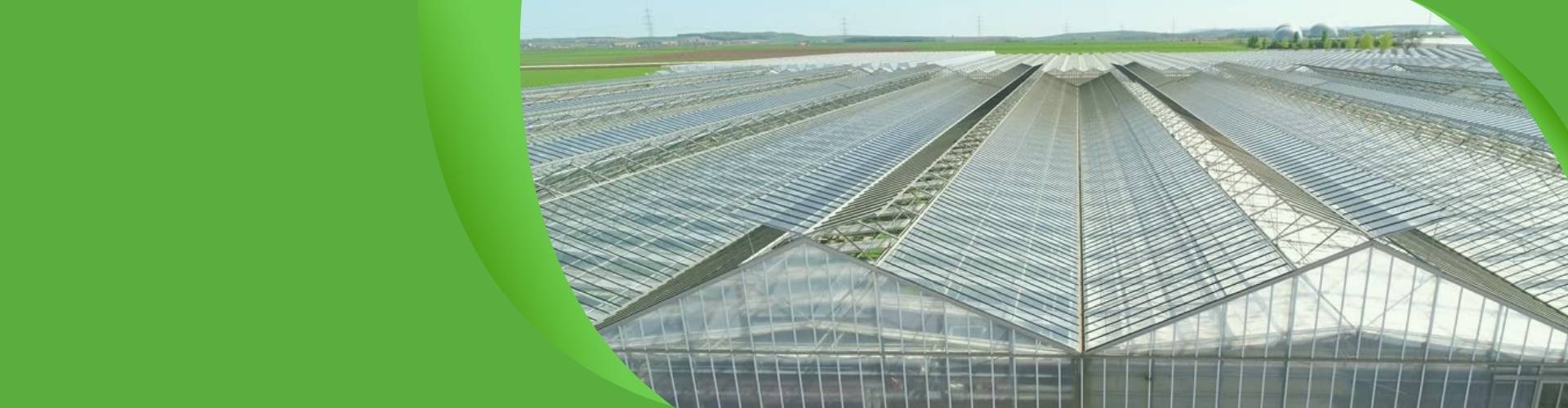 Large greenhouse banner