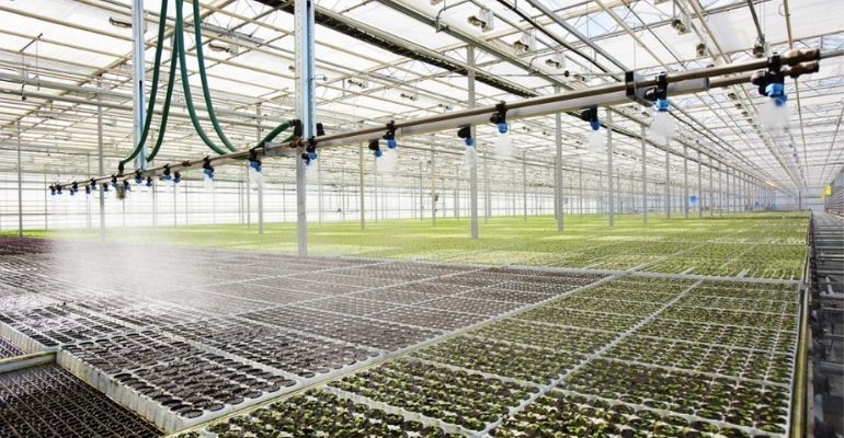 Large greenhouse overhead sprinklers