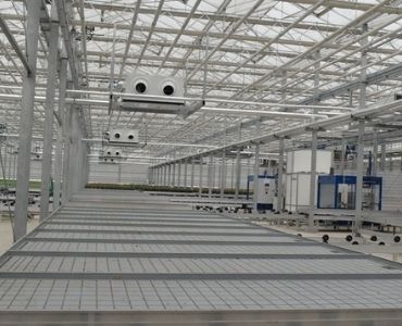 Large greenhouse setup 1