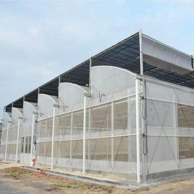 Large greenhouse with shade cloth