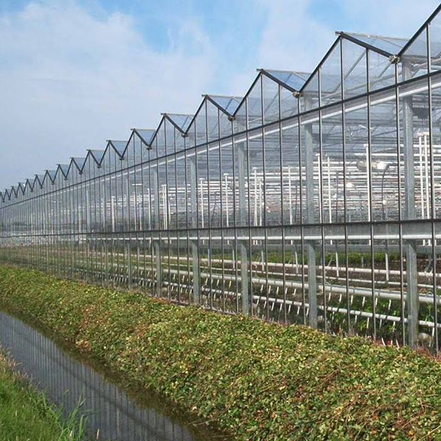 Large industrial greenhouse