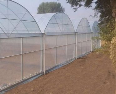 Large industrial greenhouse