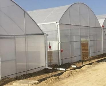 Largescale Vegetable Greenhouse Construction