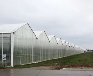 Multiple big greenhouses