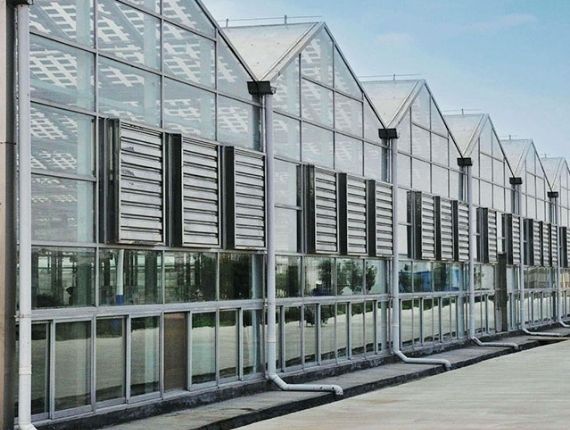Multiple industrial greenhouses