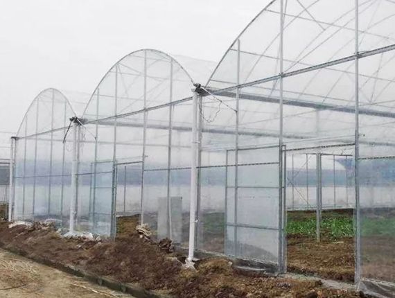 Newly installed large greenhouses