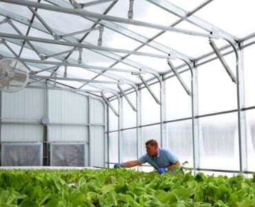 Planted Industrial Greenhouse