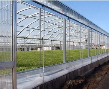 Planted polycarbonate greenhouse 1