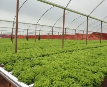 Polycarbonate farm greenhouse