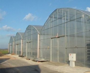 Polycarbonate greenhouse 4