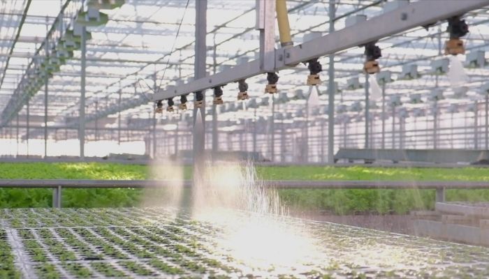 Polycarbonate greenhouse watering system