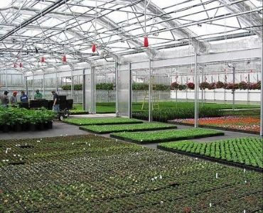 Polycarbonate greenhouse with crops