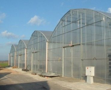 Polycarbonate greenhouse