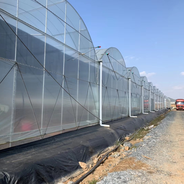 Polycarbonate large greenhouse