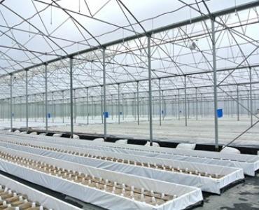 Professional greenhouse setup