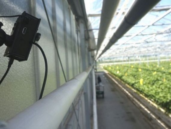 Secured farming