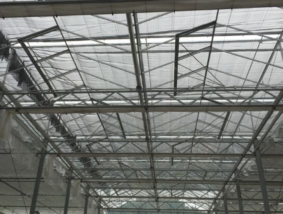 Shade cloth in a glass greenhouse