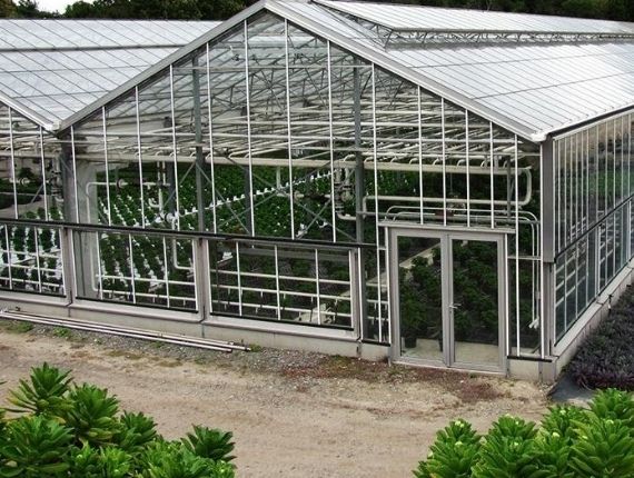 Strong Metallic vegetable greenhouse