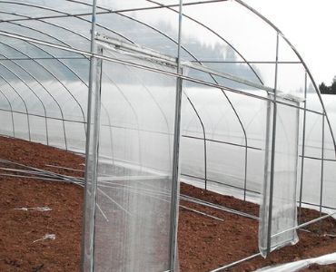 Tomato greenhouse professional setup