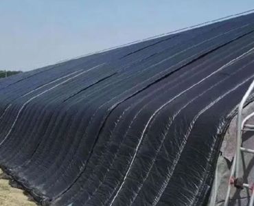Tomato greenhouse with shade covering