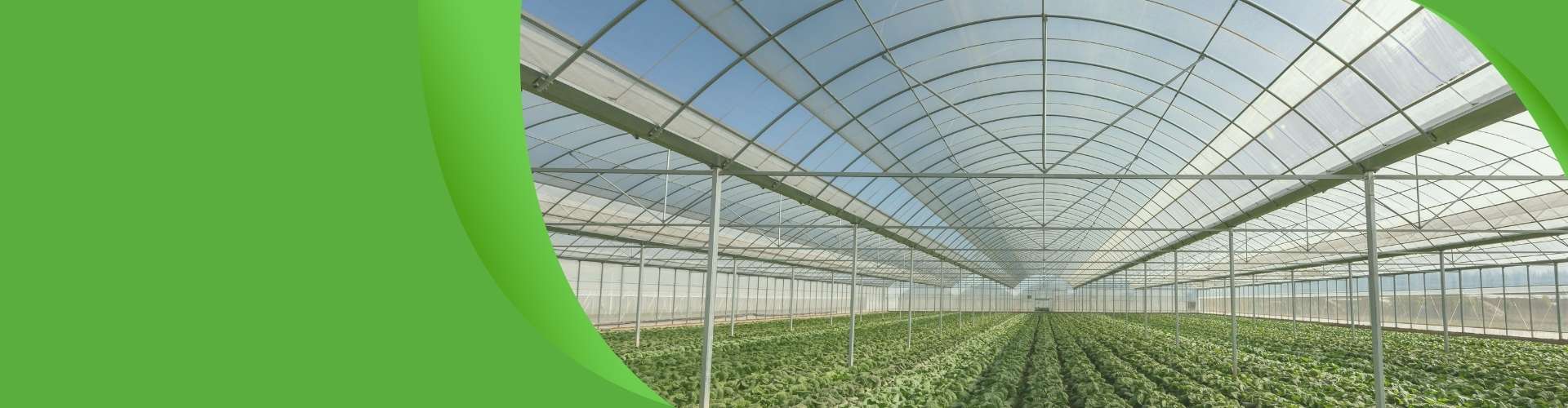 Vegetable greenhouse banner