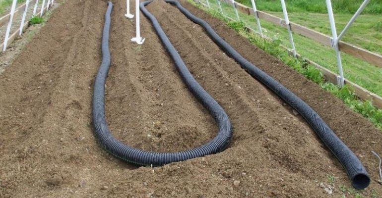 greenhouse compost
