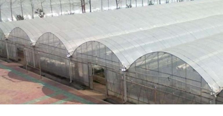 industrial greenhouse polycarbonate covering