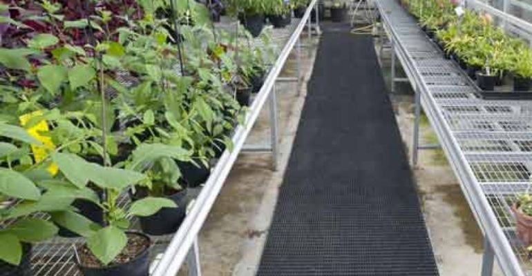 large greenhouse flooring