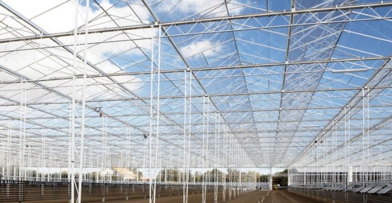 large industrial greenhouse