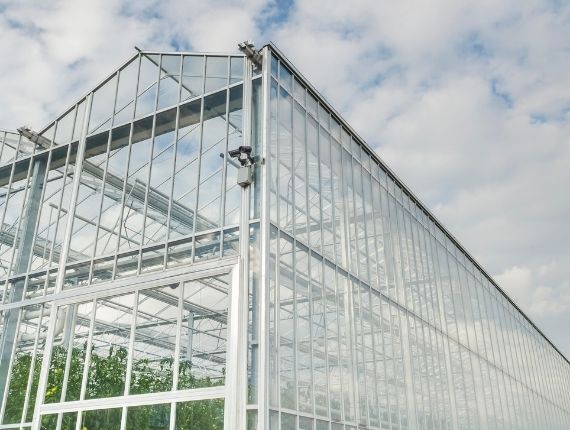 outside of the tomato greenhouse