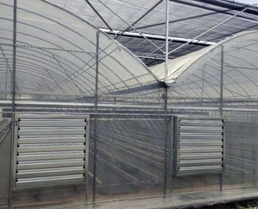 Automating plastic film greenhouse