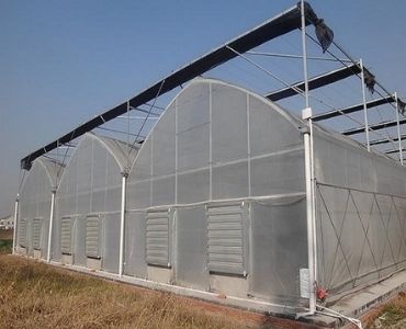 Big Multispan greenhouse