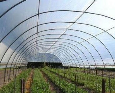 Big plastic film greenhouse