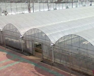 Big plastic film vegetable greenhouse