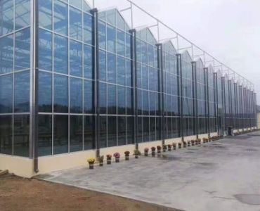 Combined Multispan Vegetable Greenhouses