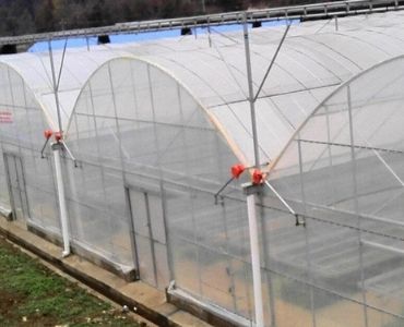 Lighting in Multispan greenhouse