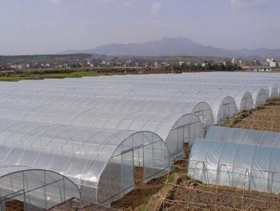 Multiple plastic films greenhouse