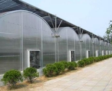 Multispan Greenhouse Construction