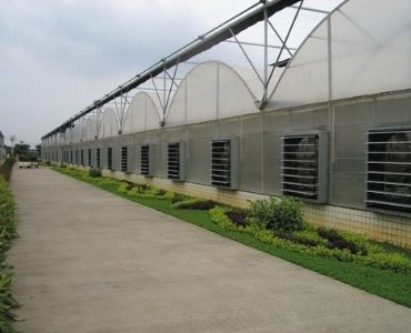 Multispan Greenhouse Installation