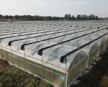 Multispan Greenhouse with Heater