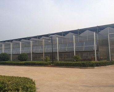 Multispan greenhouse with solar panels