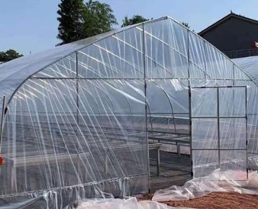 Plastic film greenhouse harvesting
