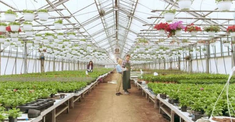 alternatives to greenhouse flooring